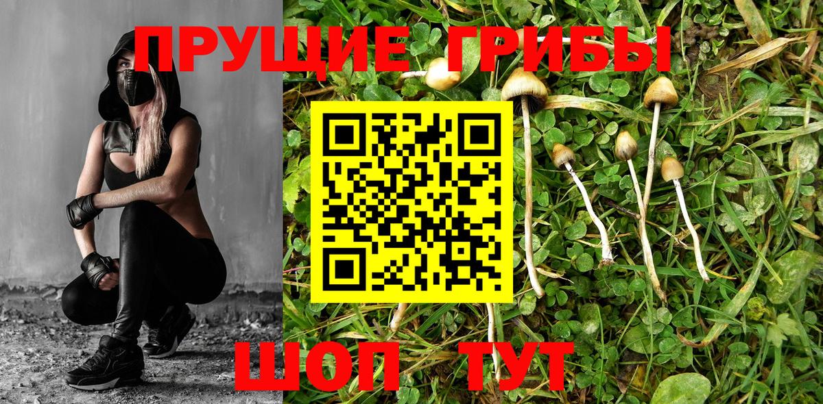 Арсеньев  Галлюциногенные грибы Magic Shrooms  Вход с VPN  Псилоцибиновые грибы MAGIC MUSHROOMS 